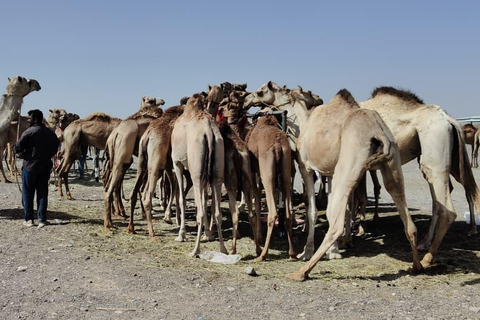 Muscat: Visit Sinaw Market, Izki Village, & Jarnan Cave Tour