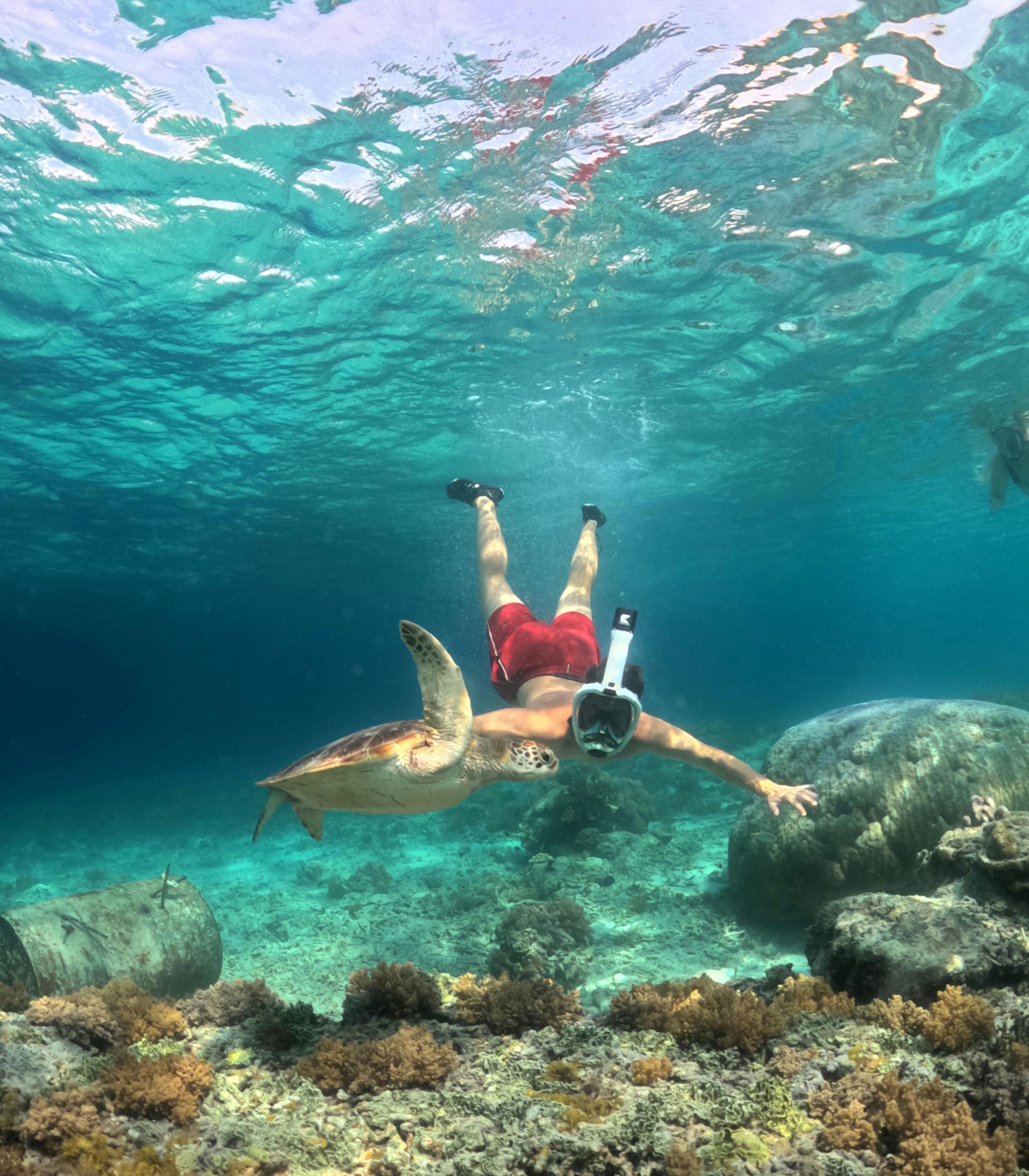 Schnorcheltour im Norden von Mauritius