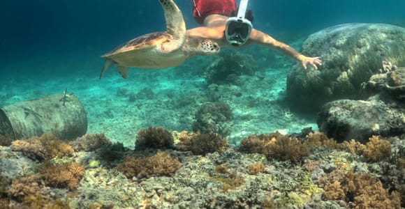Discover Snorkeling Tour In The North Of Mauritius