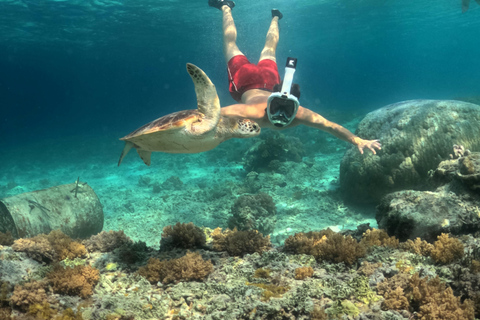 Discover Snorkeling Tour In The North Of Mauritius