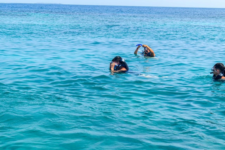 Carthagène : excursion de 4 îles + Plancton + DéjeunerCarthagène : excursion d'une journée sur 4 îles + Plancton + Déjeuner