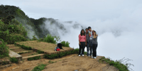 Comprehensive Excursion, Horton Plains and Pedro Tea Factory - Housity