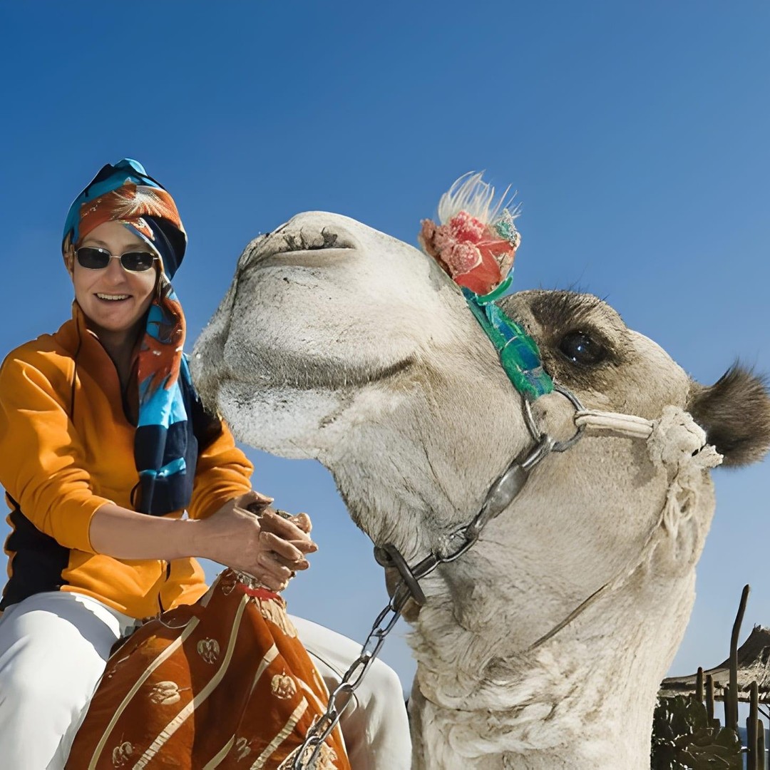 Agadir : aventure à dos de chameau et thé marocain