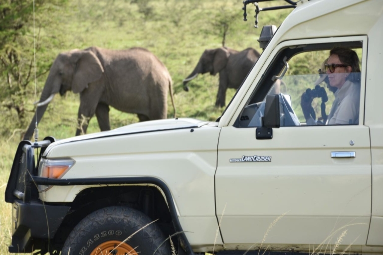 6-daagse ervaring in het wilde Masai Mara-reservaat