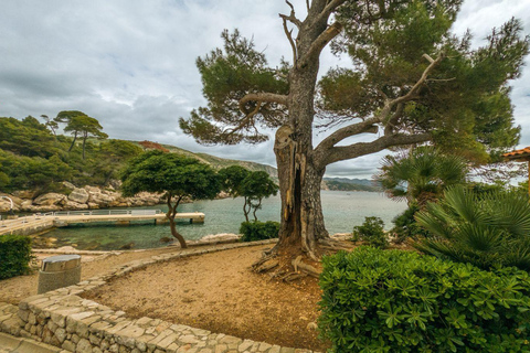 Dubrovnik: Old Town, Lokrum Island Tour with Tickets & Lunch Shared Old Town & Lokrum Tour with Lunch & Ferry Tickets