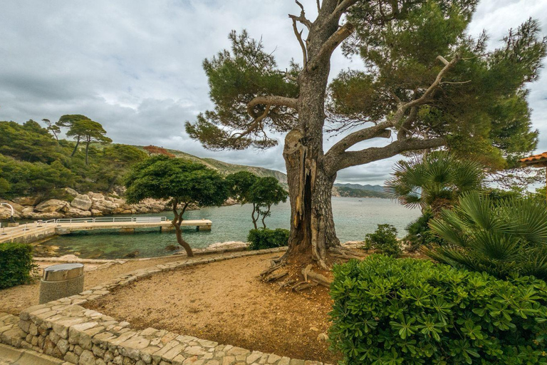Dubrovnik: Old Town, Lokrum Island Tour with Tickets & Lunch Shared Old Town & Lokrum Tour with Lunch & Ferry Tickets