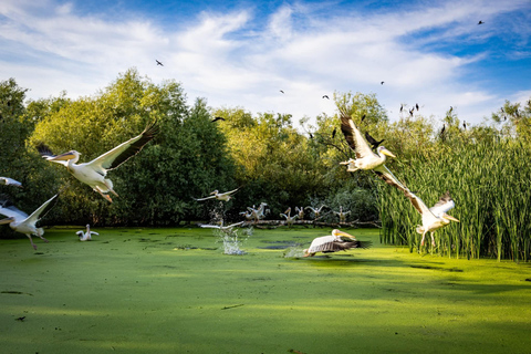 Bucharest: Tour to Danube Delta 2-Days With Boat Tour