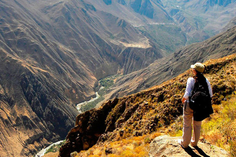 Arequipa: Tour de día completo al Cañón del Colca con traslado a Puno