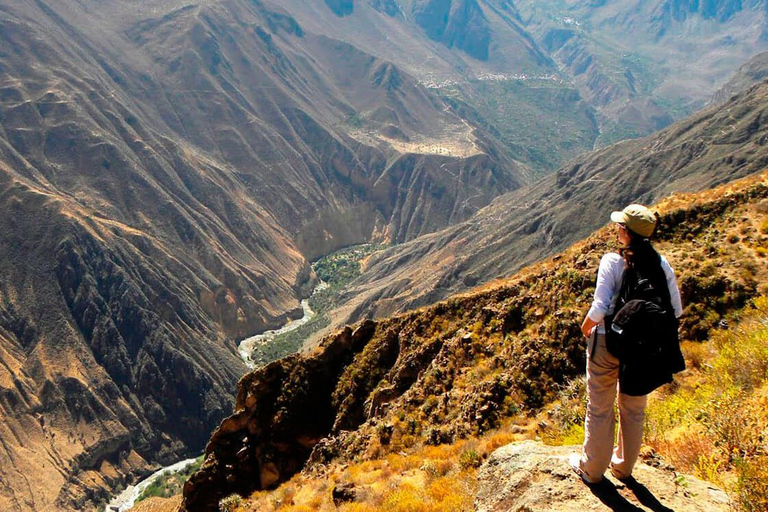 Arequipa: Heldagstur till Colca Canyon med transfer till Puno