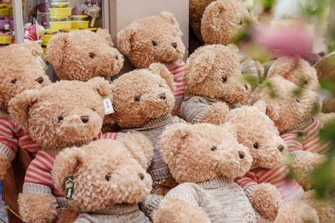 Jeju: Teddy Bear House TESEUM toegangsbewijsJeju: Teddybeerhuis TESEUM Toegangsbewijs