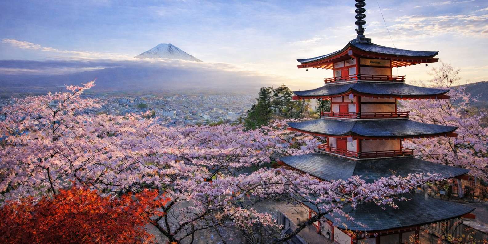 From Tokyo: Mount Fuji Private Tour With English Guide