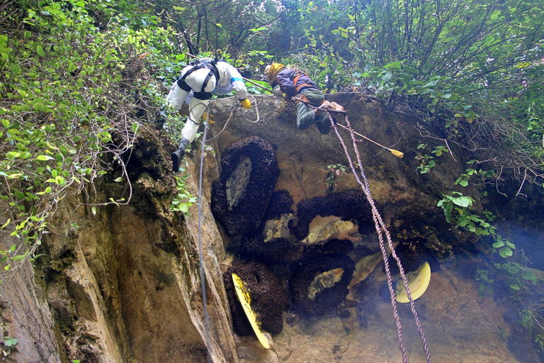 From Kathmandu: 5 Day Honey Hunting Tour (Lumjung)