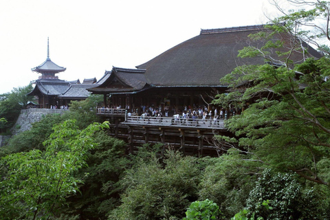 Kyoto: Private Full-Day Tour with Driver & Custom Itinerary