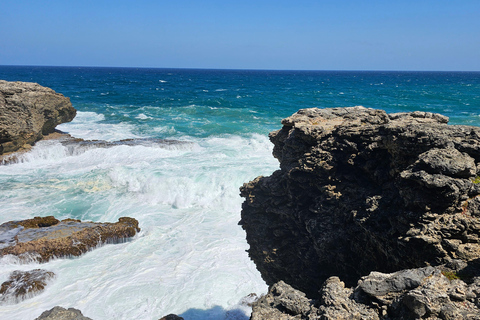 Barbados: Tour guiado panorámico privado