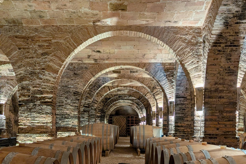 Discover Château de Saurs: guided visit & tasting straight from the barrel Discover Château de Saurs: Guided Visit & Barrel Tasting