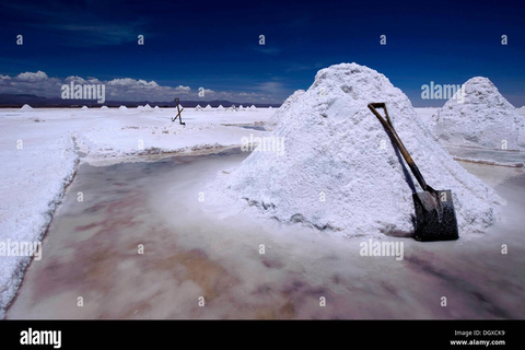 Salar de Uyuni - 1 tour de día completo