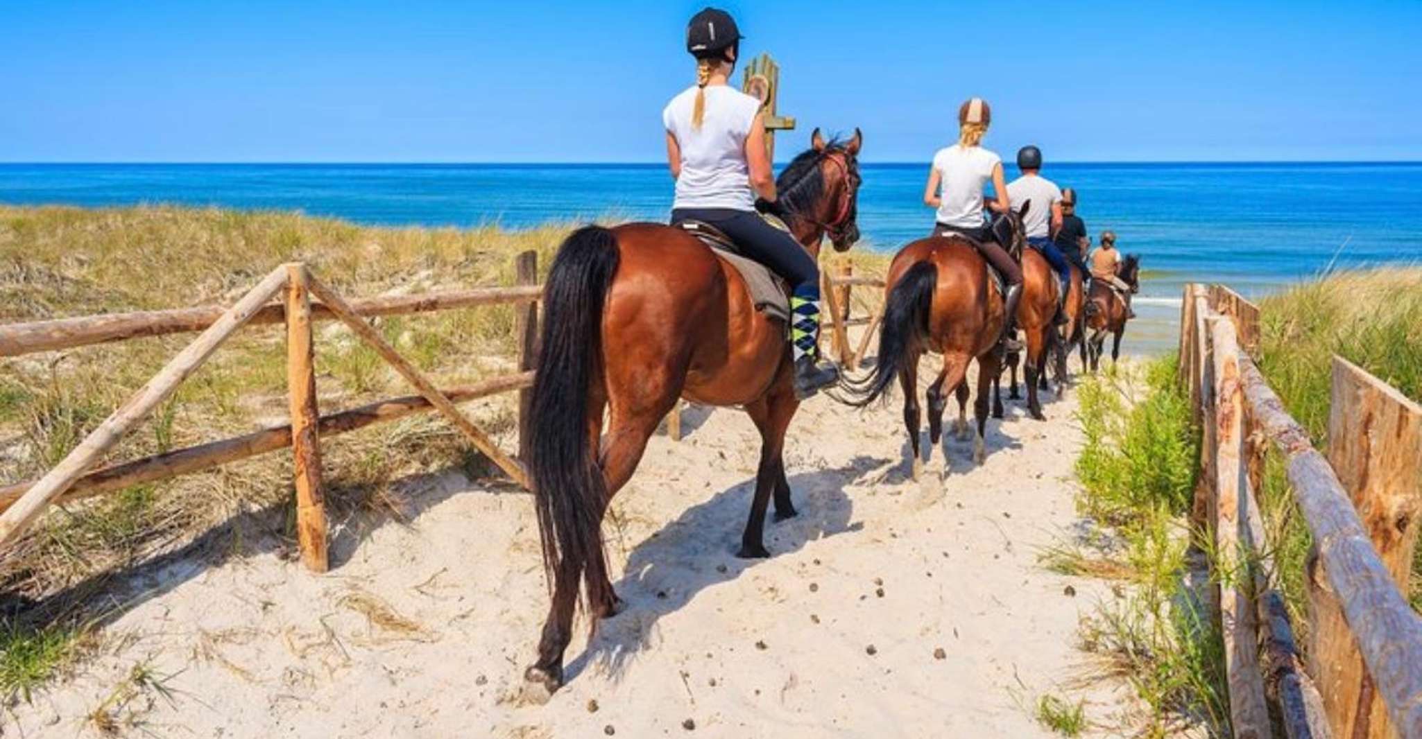 Paros, Horse Riding Adventure - Housity