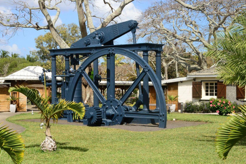 Maurice : visite privée d&#039;une jounée dans le nord de l&#039;île avec un guide localMaurice : visite privée d&#039;une jounée de l&#039;île du Nord avec un guide local