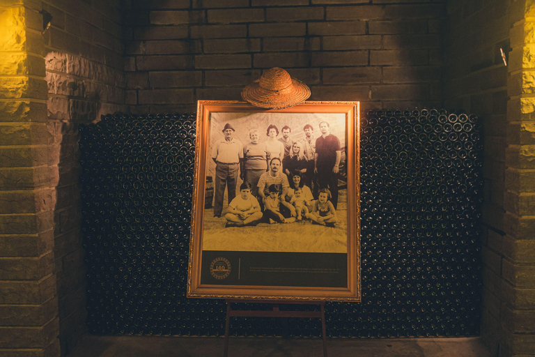 From Gramado: Vineyard Valley with Casa Valduga and Lunch Essence of Serra Gaúcha: Iconic Food and Wine