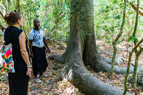 Exploring Nature's Treasures: A Private Day Trip in Diani Exploring Nature's Treasures: A Day Trip in Diani