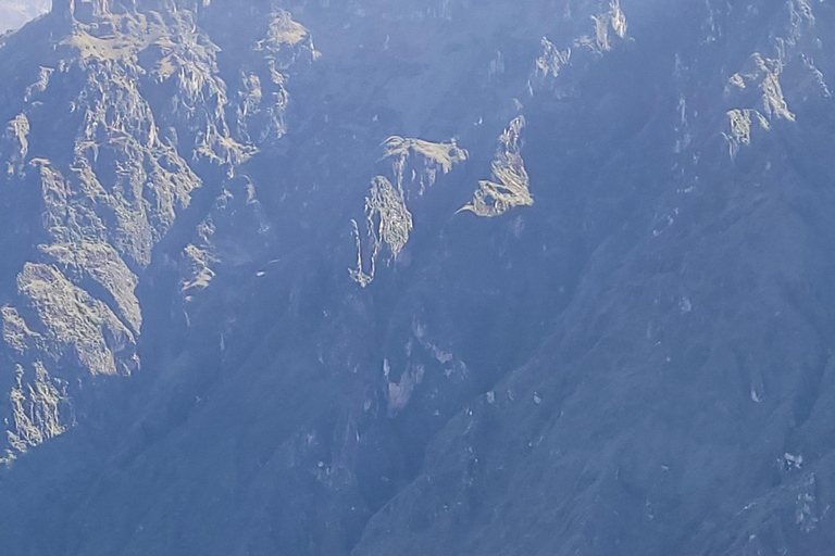 From Arequipa: Colca Canyon Day Hike