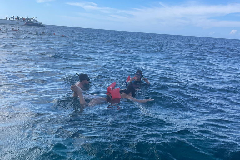 Actividad de snorkel con paseo en barco en Montego Bay