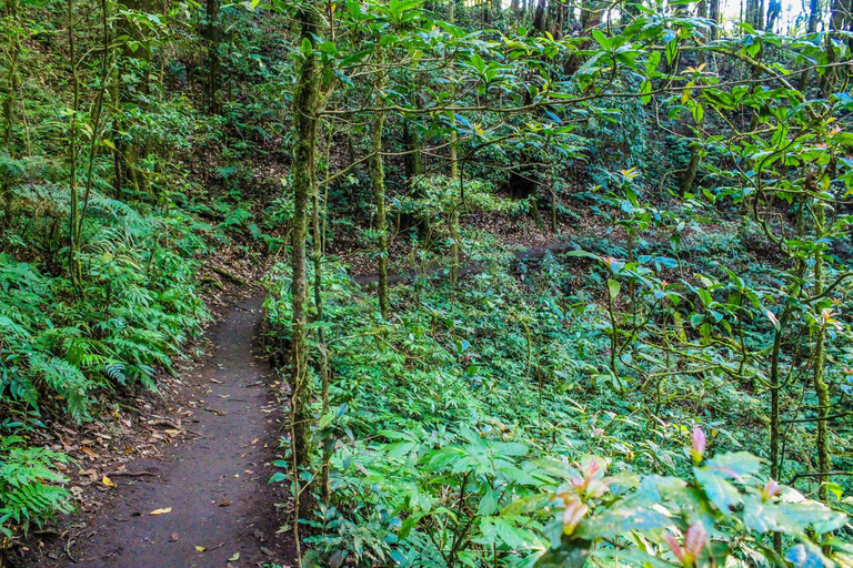 Chiang Mai : Doi Inthanon, chutes d'eau et villages tribaux