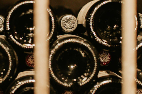 Châteauneuf-du-Pape: tour/tasting in the heart of Domaine Tour St Michel Châteauneuf-du-Pape: tour/tasting in the heart of the Domaine Tour St Michel