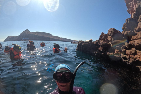 La Paz: Espíritu Santo Island & Whale Shark Day Trip