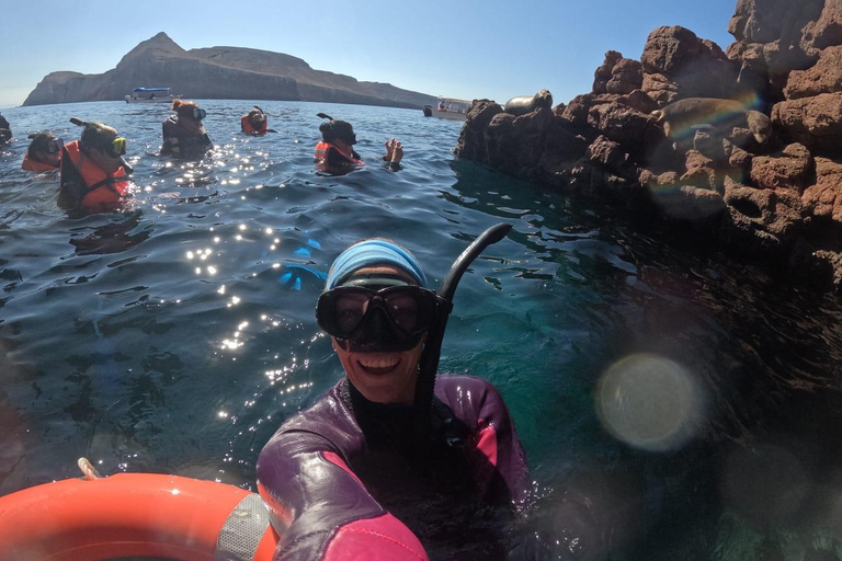 La Paz: Espíritu Santo Island & Whale Shark Day Trip
