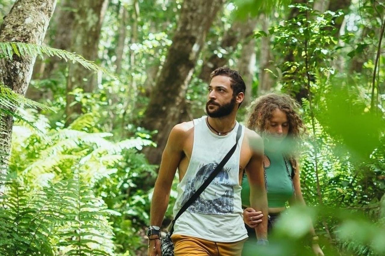 Zanzibar: Blå lagunen, sjöstjärnor och Jozani-skogenTransfer till hotell var som helst på Zanzibar