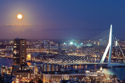 Lo Mejor de Róterdam: Visita privada a pie con un lugareñoVisita privada a pie por la ciudad - 2H