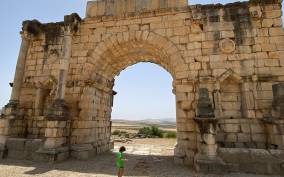 Trip from Fes to Volubilis Mouly Idriss Meknes(Group Tour)