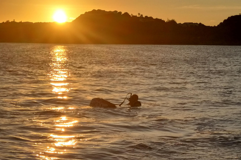 Saint-Martin: Private boat trip with skipper