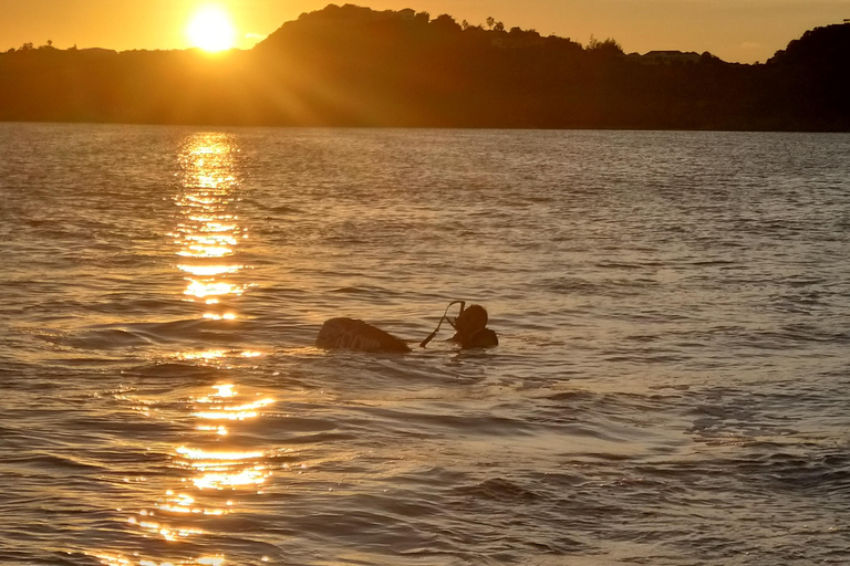Saint-Martin: Private boat trip with skipper