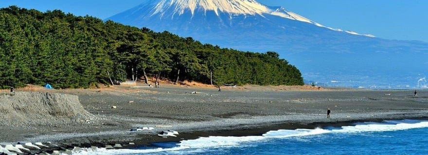 Prise en charge au port de Shimizu : visite de Shizuoka avec guide et véhicule