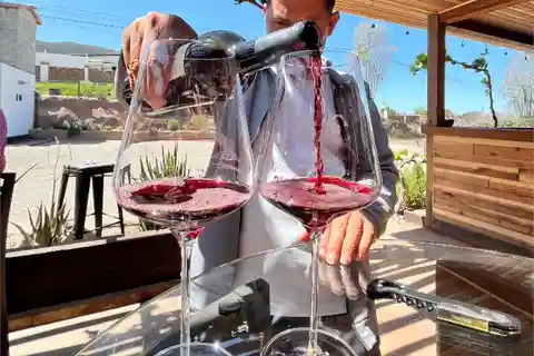 Wine not by bike, Bike among vineyards