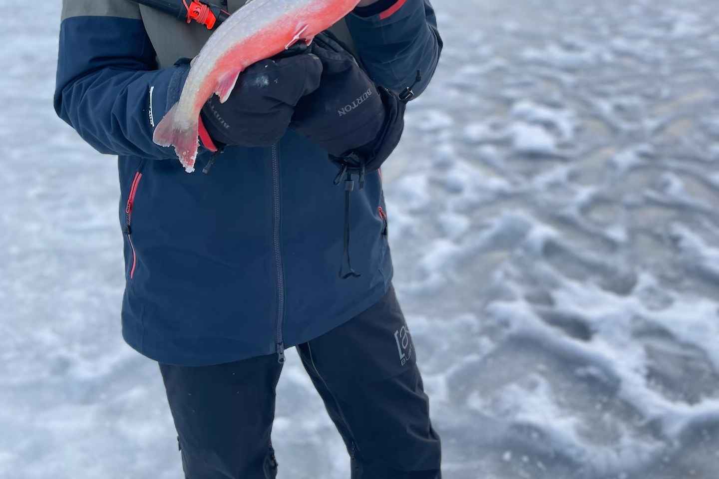 Sälen: Ice Fishing Experience cooking you catch