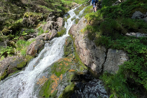 BERGEN I Fløyen Activo - Magical Nature - Randonnée pédestre