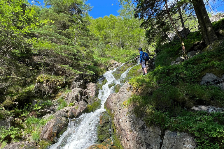 BERGEN I Fløyen Activo - Magisk natur - Vandringstur