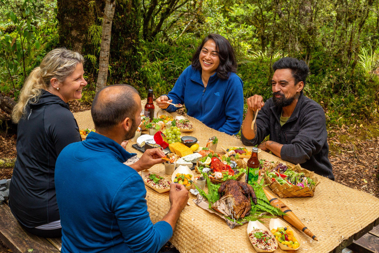 Rotorua: Whirinaki Forest Guided Tour & Luxury Spa Entry