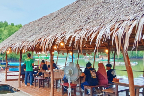 Krabi halvdagsutflykt ekotur Mangrove båttur &amp; Khanap Nam Cave