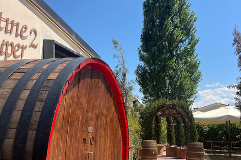 Florence: Pisa, Siena, & San Gimignano Day Trip with Lunch VIP SMALL GROUP