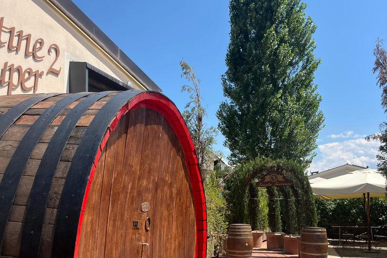 Florence: Pisa, Siena, & San Gimignano Day Trip with Lunch VIP SMALL GROUP