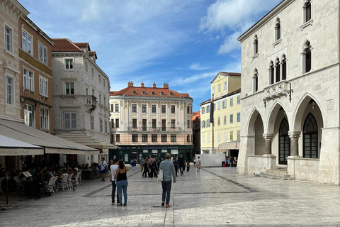 Split and Diocletian's Palace walking tour with a local guid