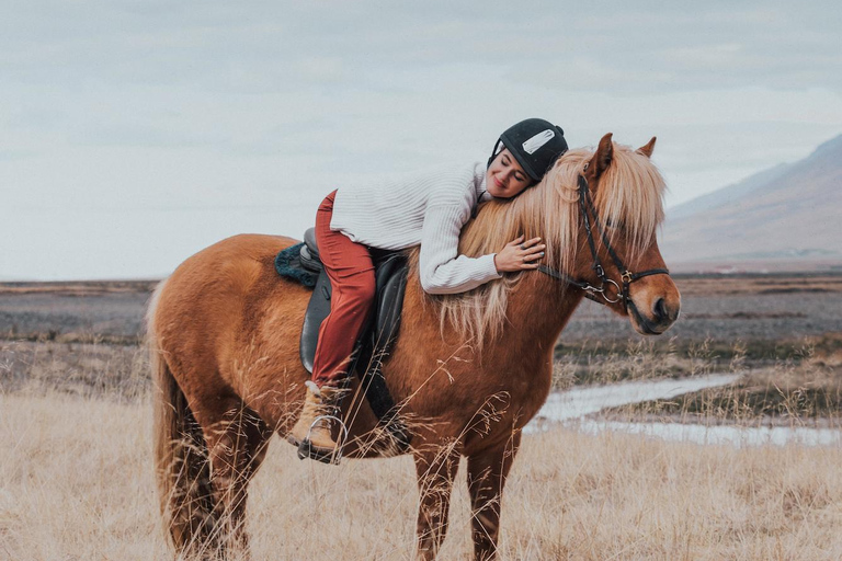 Varmahlid: Viking Horse Riding Tour