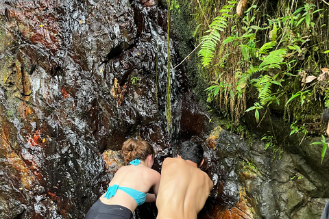 Excursion à El Yunque, rivière et toboggans aquatiques