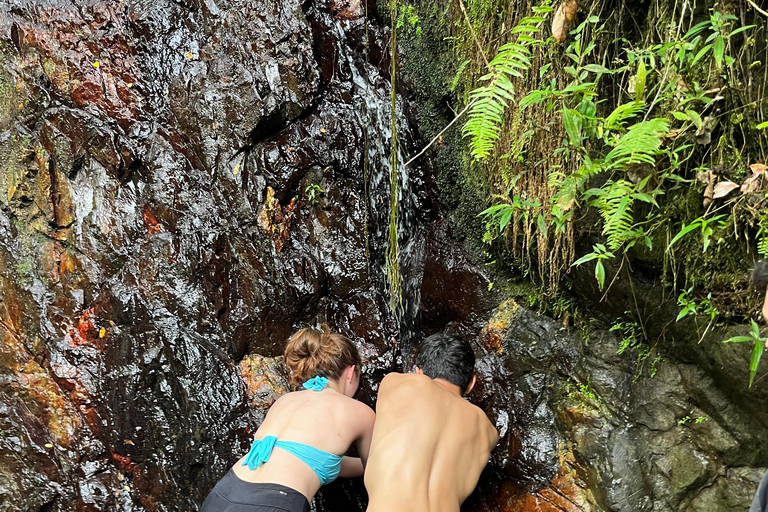 Excursion à El Yunque, rivière et toboggans aquatiques