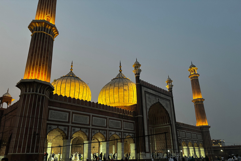 Delhi: Private Tagestour oder Halbtagestour durch Alt- und Neu-DelhiHalbtägige Tour durch das alte Delhi