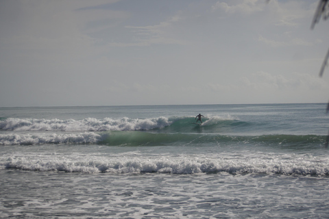 Bocas del Toro: Surf Trip with Board Rental and Transfer